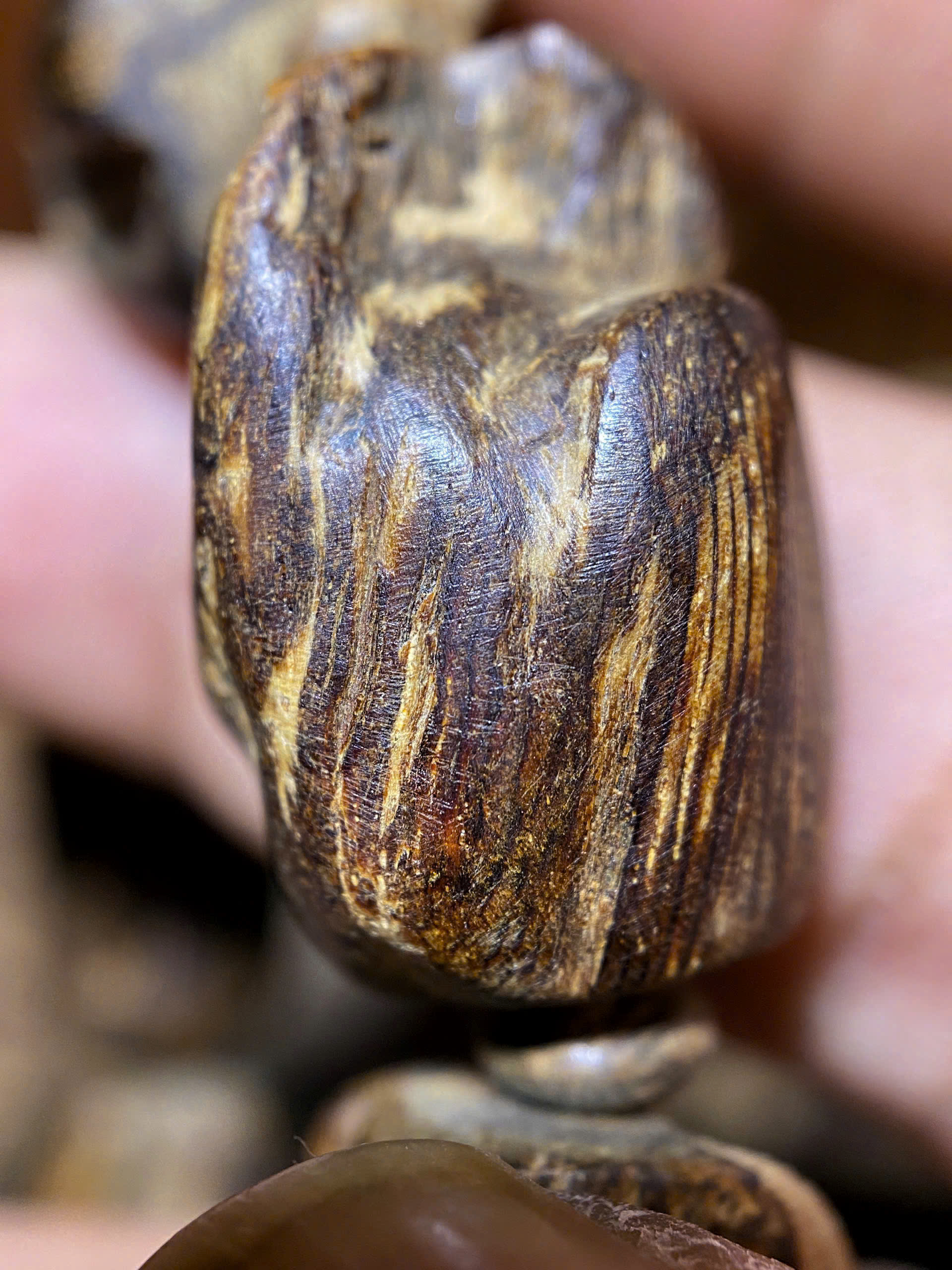 Vật Phẩm Bông Super Chìm – Terengganu, Malaysia