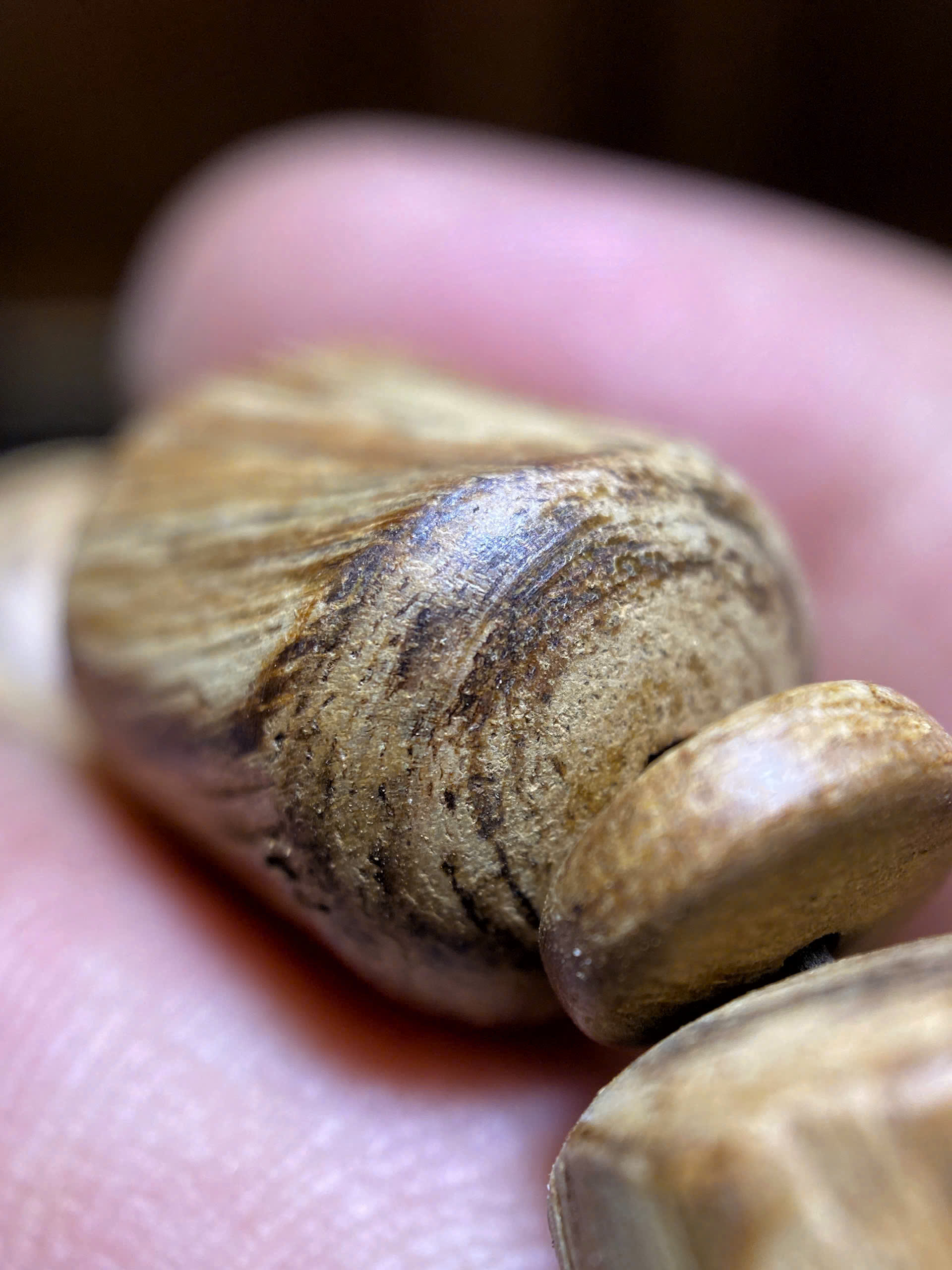 VÒNG TRẦM HƯƠNG ĐỐT TRÚC THÔ BÔNG – PHILIPPINES