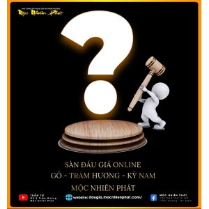 Vật Phẩm Đấu Giá Tiếp Theo...